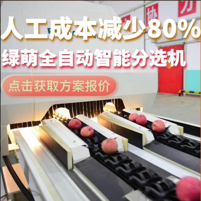 綠萌是水果智能分選設備國家高新技術企業(yè),對水果采后處理提供全套解決方案。綠萌水果分選機可進行大小重量分級、外觀顏色分選、內(nèi)部品質(zhì)糖度檢測。提供全自動水果分選設備,水果選果機,智能水果分選機,全自動水果分選機,水果分級機,小型水果分選機，水果分級機,水果稱重分選機,水果重量分選機,水果大小分選機,水果顏色分選機,水果糖度分選機,配套水果清洗機、水果洗果保鮮機、水果包裝機、水果消毒滅菌殺菌機,水果打蠟機。更多水果分選方案報價,小型水果選果設備價格、水果分級機怎么樣、口碑好質(zhì)量好的水果選果機、了解高性能水果分選機多少錢,咨詢客服免費獲取