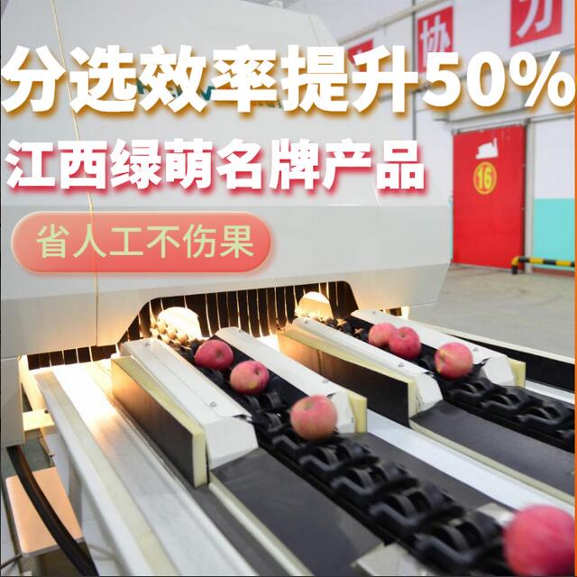 綠萌是水果智能分選設備國家高新技術企業(yè),對水果采后處理提供全套解決方案。綠萌水果分選機可進行大小重量分級、外觀顏色分選、內(nèi)部品質(zhì)糖度檢測。提供全自動水果分選設備,水果選果機,智能水果分選機,全自動水果分選機,水果分級機,小型水果分選機，水果分級機,水果稱重分選機,水果重量分選機,水果大小分選機,水果顏色分選機,水果糖度分選機,配套水果清洗機、水果洗果保鮮機、水果包裝機、水果消毒滅菌殺菌機,水果打蠟機。更多水果分選方案報價,小型水果選果設備價格、水果分級機怎么樣、口碑好質(zhì)量好的水果選果機、了解高性能水果分選機多少錢,咨詢客服免費獲取