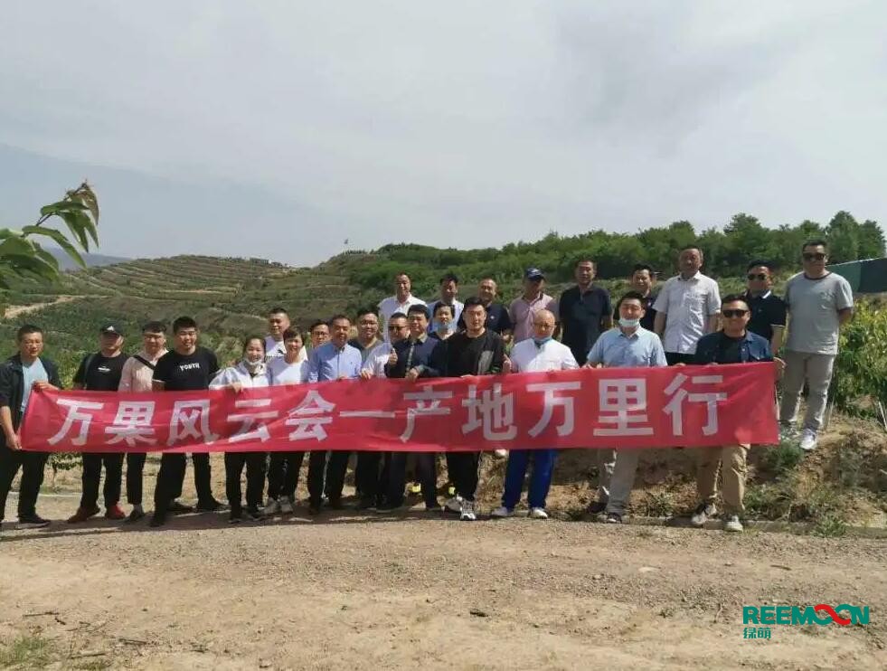 綠萌自動(dòng)化櫻桃分選設(shè)備亮相甘肅天水引起各界廣泛關(guān)注 5月29日，綠萌櫻桃自動(dòng)化分揀生產(chǎn)線在甘