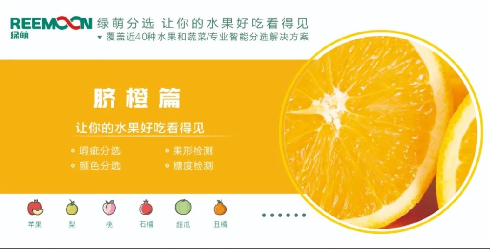 糖度可視化 好吃看得見(jiàn)【臍橙篇】來(lái)源：客家新聞網(wǎng)訊 記者何亮報(bào)道據(jù)悉，2019年，贛州市臍橙種植面積達(dá)到162萬(wàn)畝、產(chǎn)量122萬(wàn)噸，產(chǎn)值129億元。?20多年前，一批和新奇士品質(zhì)相近的贛南臍橙，用低于新奇士一半的價(jià)格出售，銷量卻并不見(jiàn)得比新奇士好。如今，贛南臍橙產(chǎn)值129億元，是什么讓贛南臍橙聲名鵲起？綠萌臍橙果表瑕疵