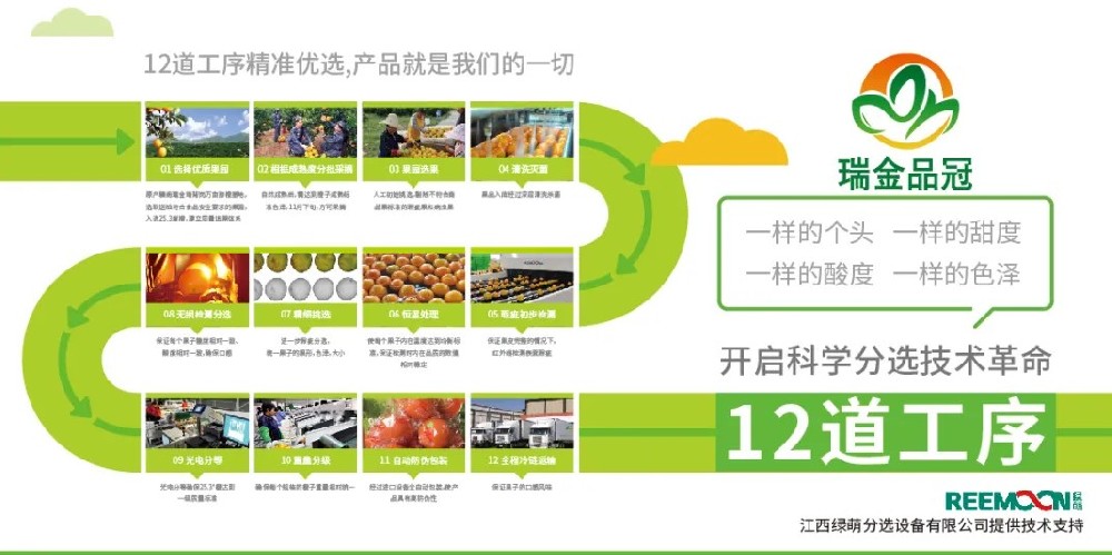 綠萌分選 讓您的水果好吃看得見(jiàn) 2020年11月27日，由瑞金市品冠農(nóng)業(yè)發(fā)展有限公司承辦的2020紅都品冠贛南臍橙以“綠水青山、紅色傳橙”為主題的推介會(huì)在沈陽(yáng)舉行。瑞金品冠圍繞“紅色傳橙、綠色情懷、生態(tài)共建、品牌強(qiáng)農(nóng)”的理念，堅(jiān)持要把優(yōu)質(zhì)贛南臍橙推介給東北人民，為此，瑞金品冠挑選優(yōu)質(zhì)臍橙果園基地