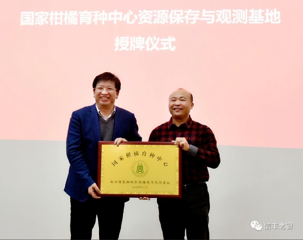 兩塊牌匾！我縣臍橙產(chǎn)業(yè)高質(zhì)量發(fā)展又上新臺(tái)階 11月30日，中國工程院副院長、民盟中央副主席、中國科學(xué)技術(shù)協(xié)會(huì)副主席、國家現(xiàn)代農(nóng)業(yè)柑橘產(chǎn)業(yè)技術(shù)體系首席科學(xué)家鄧秀新帶領(lǐng)調(diào)研組來到我縣調(diào)研，并出席華中農(nóng)業(yè)大學(xué)與江西綠萌科技控股有限公司簽約儀式、“綠萌果蔬生產(chǎn)智慧裝備研究院”和“國家柑橘育種中心南方特色柑橘資源保