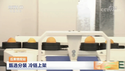 連線采訪＋現(xiàn)場直播7月20日CCTV農(nóng)業(yè)農(nóng)村頻道、央視頻APP深度報道湖北老河口黃桃產(chǎn)業(yè)發(fā)展情況綠萌作為果蔬智能科技分選企業(yè)憑借AI（人工智能）算法以及光譜技術(shù)為老河口黃桃產(chǎn)業(yè)賦能而亮相央視在此之前綠萌因為中國果蔬采后標(biāo)準(zhǔn)建設(shè)賦能已經(jīng)多次亮相于央視黃桃作為老河口的“富農(nóng)果”，身肩重任。全市3.5萬畝黃桃如何打造價格