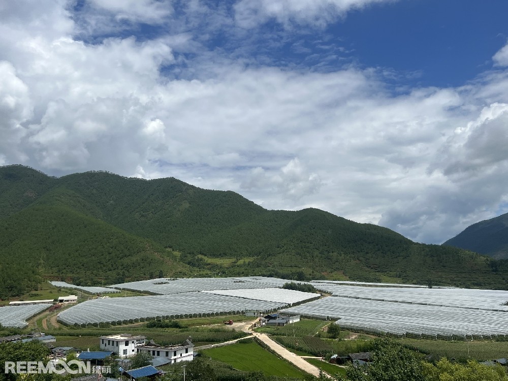 麗江市蘋果種植主產區(qū)海拔2400-2700米，良好的立體環(huán)境條件造就了麗江蘋果糖度高、果肉緊密、硬度高、無污染的品質特點。2019年，在全國種植產區(qū)的甄選中，鑫榮懋選定了云南省麗江市蘋果優(yōu)勢產區(qū)作為未來蘋果種植項目的實施地，目前已種植新西蘭引進的優(yōu)良蘋果品種。鑫榮懋以新品種、新技術及高品質為發(fā)展蘋果種植的新契機，