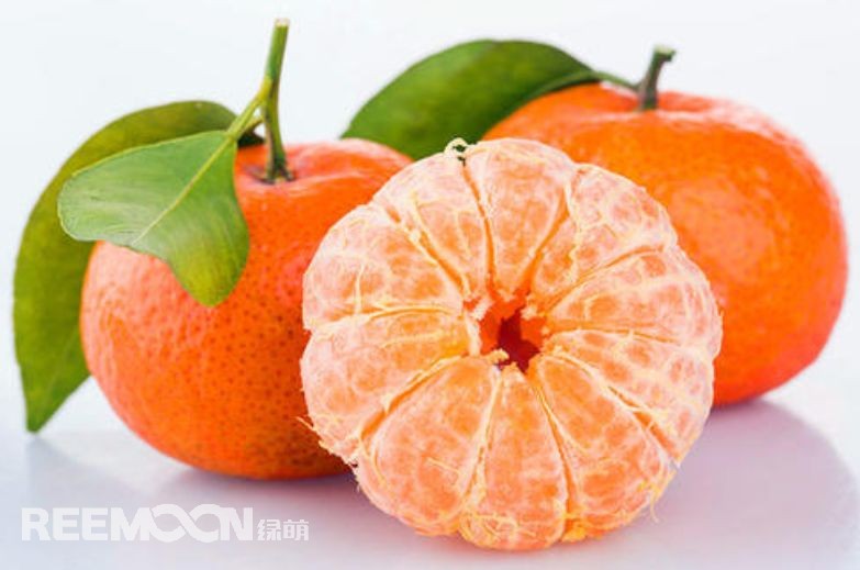 近幾年，砂糖橘逐漸跌落“神壇”，價(jià)格急速下滑。產(chǎn)能過(guò)剩、集中上市、競(jìng)爭(zhēng)增大......不少問(wèn)題圍繞著砂糖橘產(chǎn)業(yè)的發(fā)展。難道真的就要走向末路了嗎？砂糖橘口感清甜似砂糖，入口即化，富含維生素、葡萄糖、胡蘿卜素等多種營(yíng)養(yǎng)元素，且市場(chǎng)歡迎度高、老少皆宜，擁有廣闊的市場(chǎng)空間。近年來(lái)砂糖橘價(jià)格一路低走，產(chǎn)業(yè)模式的問(wèn)題